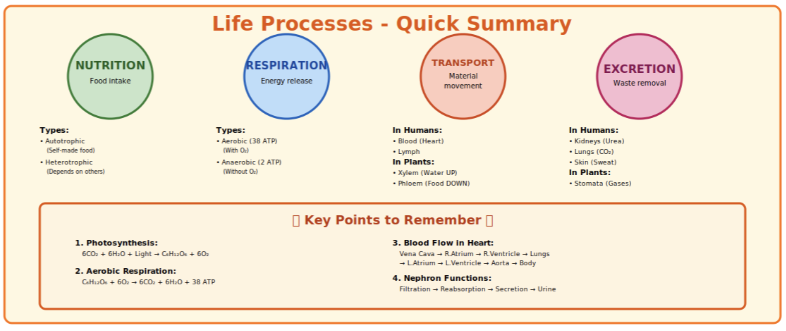 Life process quick diagram checklist