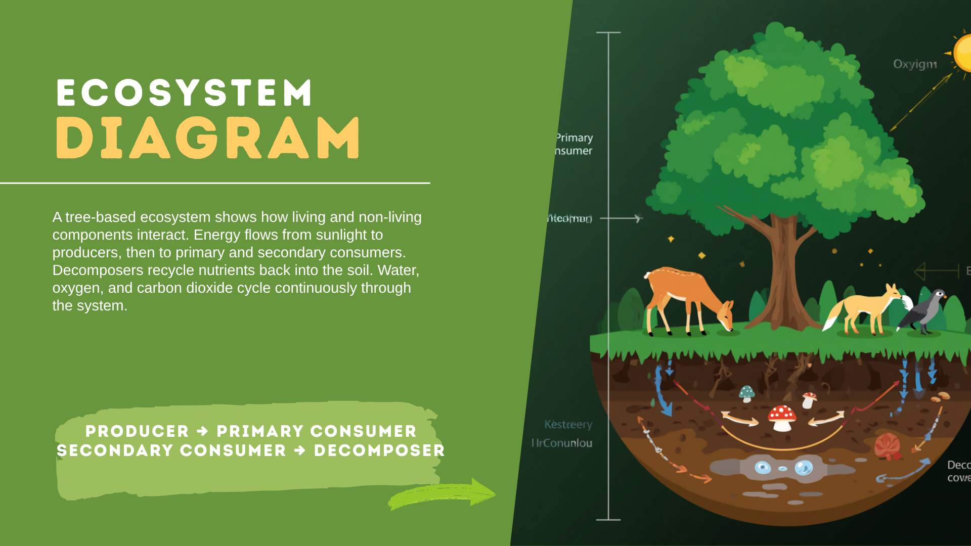 Ecosystem Diagram