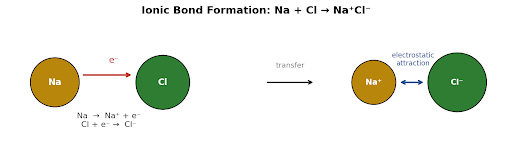 An ionic bond forms when an electropositive atom (typically a metal) transfers one or more valence electrons to an electronegative atom (typically a non-metal). The electrostatic attraction between the resulting oppositely charged ions holds the compound together.