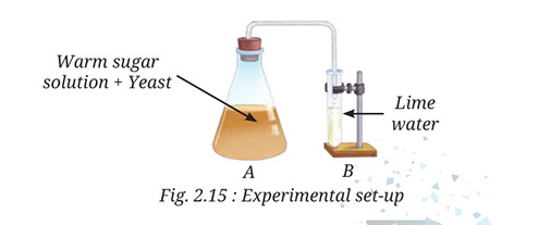 Class 8 Science Chapter 2 Image 4