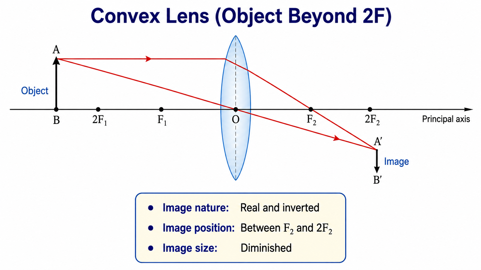 Convex-lens ray diagrams